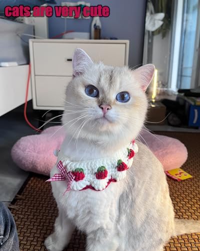 Image of Cute Cat Collar, Breakaway Kitten Handmade Collar with Cute Cat Bowtie and Strawberry Pattern Comfortable for Kitty Some Puppies Accessories
