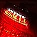HTTMT MT194-SK Smoke Led Tail Light Brake Light with Integrated Turn Signals Indicators Compatible with 1994-2008 Ducati Monster 400/600 / 620/695 / 750/800 / 900/1000