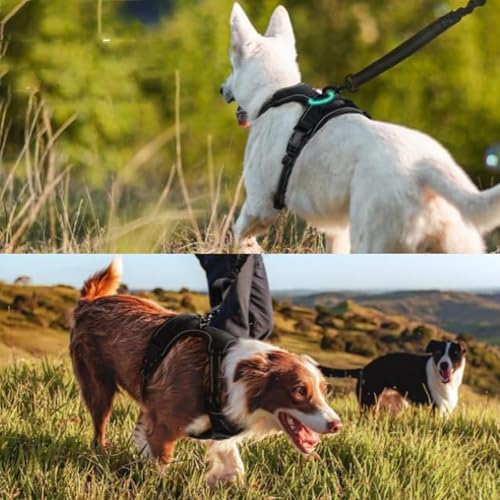 Fellste𝐫 Geschirr, Anti-Zieh Hundegeschirr mit Step-in Design, Atmungsaktiv & Gepolstert, Für entspanntes Spazierengehen, Kontrolle ohne Ziehen, Für Hunde jeder Größe (Schwarz, S)