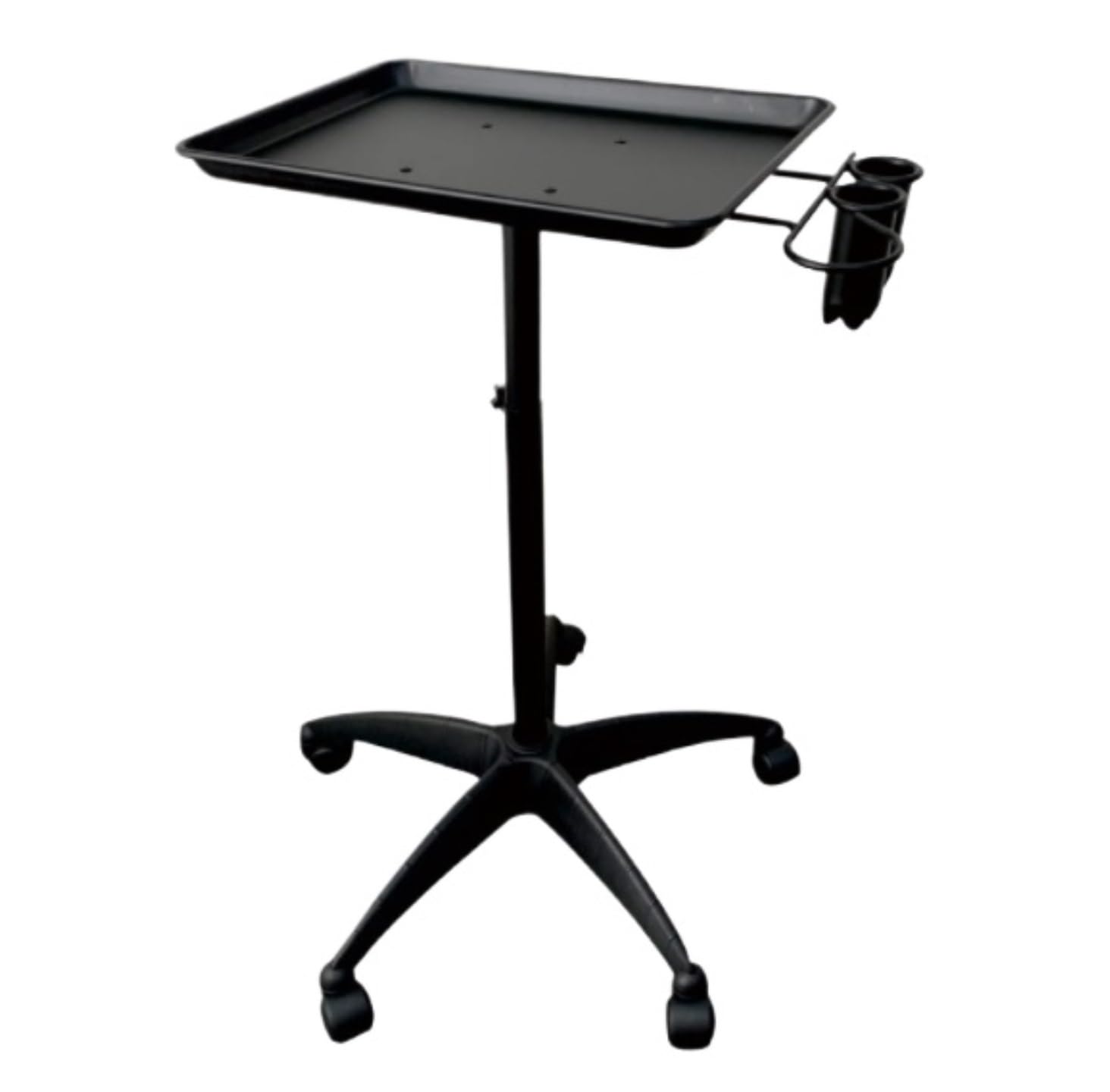 Salon Spa Service Tray Beauty With Holder Hairdressing Tool Rolling Hair Movable Instrument For Barber Shops(Black)