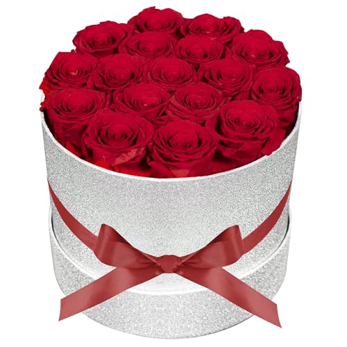17 Red Flowers in Glitter Box, Birthday Gifts for Women, Preserved Flowers, Mothers Day Roses Gift for Mom