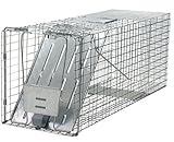 Havahart 1079 Large 1-Door Humane Animal Trap for Raccoons, Cats, Groundhogs, Opossums (Pack of 4)