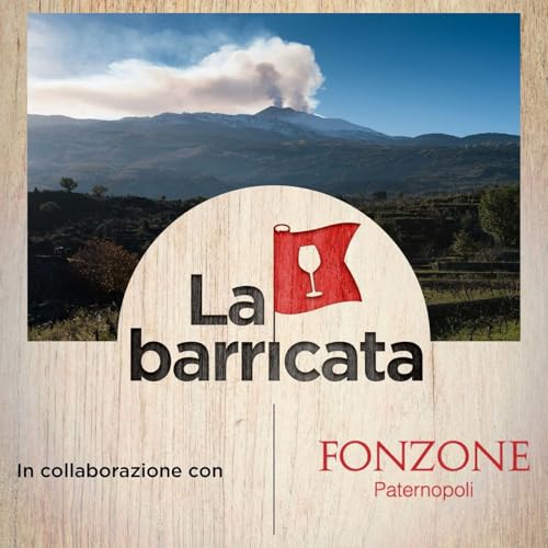 Quel fenomeno vulcanico dell’Etna (con Francesco Cambria) - La barricata, 23