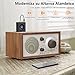 1Mii Receptor Audio Bluetooth 5.0 Inalámbrico, Adaptador Audio Bluetooth de Baja Latencia...