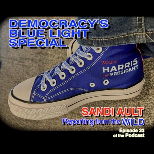 Page de couverture de DEMOCRACY'S BLUE LIGHT SPECIAL - Podcast