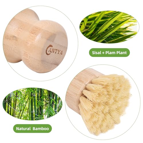 Image of 6 Packs Bamboo Scrub Brush - Soft Bristle Natural Dish Brush Compostable Bamboo Dish Scrubber for Dishes Pans Grills and Stoves