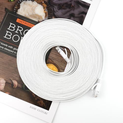 Cable Ethernet Plano Cat 6 de 10 m con Conector RJ45 miniatura 7