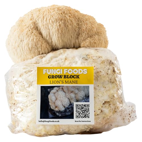 Lions Mane Mushroom Grow Kit Ready to Fruit Grow Block Commercial Mushroom Farm Block - Grow Fresh Gourmet Mushrooms at Home