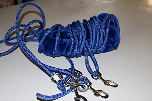 Equipride Pessoa basato cavallo allenamento