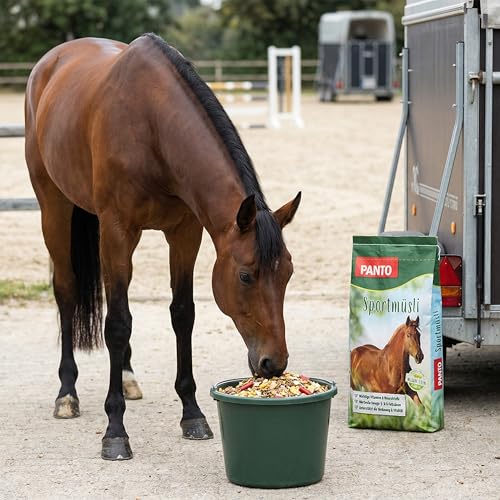 PANTO Sportmüsli mit Wisan-Lein 20 kg – Pferdemüsli Kraftfutter mit Omega-3
