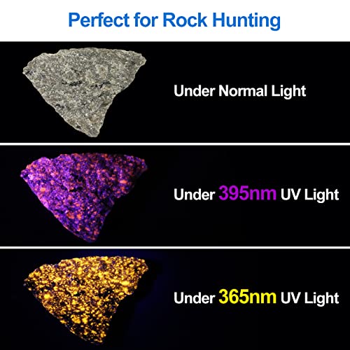 Vansky UV Light Blacklight 365nm: UV Torch Light Black Light UV Resin Lamp Ultraviolet Light UV Light Torch UV Flashlights,Pet Urine Detector for Dog Cat Rock Hunting(Batteries are Included)