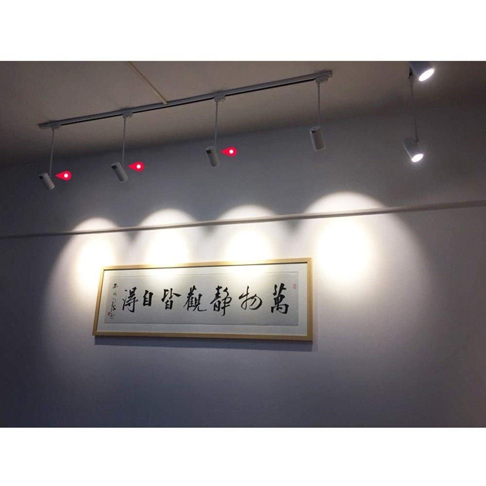 Faretti da soffitto a LED con palo Lungo montati in Superficie, faretti Regolabili, Illuminazione a Binario per Appendere Abiti, Illuminazione a Pannello antiabbagliamento COB Commerciale, Access