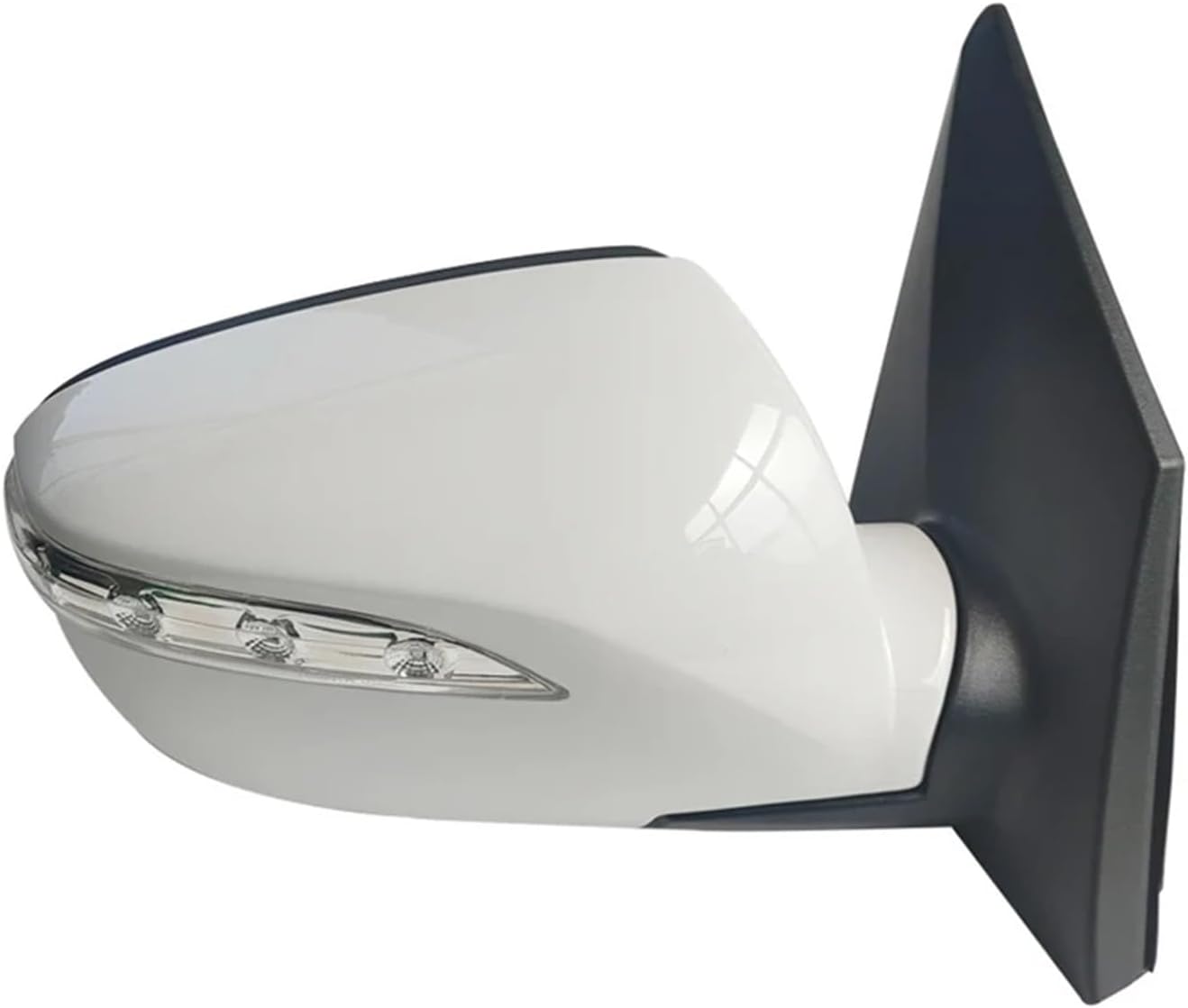 【5頭セット】タカネヒカゲ、タカネキマダラ（岐阜県） 5頭セット】タカネヒカゲ、タカネキマダラ（岐阜県）