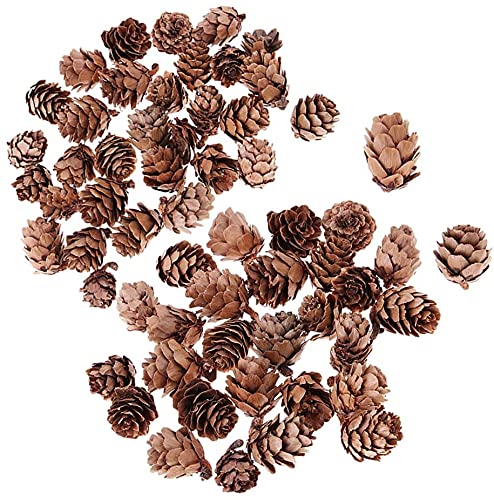 60 peças/peça enfeites de mesa em cone de pinho naturalmente seco a granel