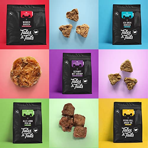 Tales & Tails® - Hunde Leckerlis aus 100% isländischem Lachs | Natürlich, Zuckerfrei, Getreidefrei, reich an Omega 3 | Kausnack Icebarks „Lachs doch mal“ von | 5 x 70g Tüten Hundesnack