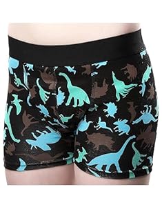 DRY & COOL Tages-Inkontinenzslip Jungen Unterwäsche Dino
