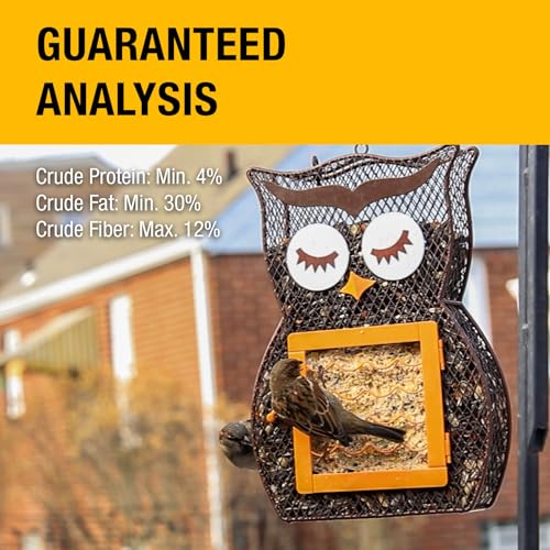 Heath Outdoor Products 21703-S2 Heath Whimsical Owl Suet 'N Seed Bird Feeder thumb #2