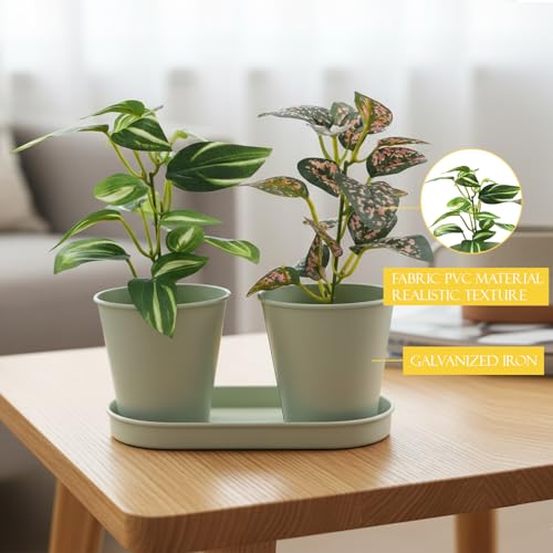 Image of KARP Artificial Potted Plants, Delphinium Flower Plant with White Pot Home Decor, Plants for Living Room, Office Desk & Bathroom, Decorative (Small-Plant-1)