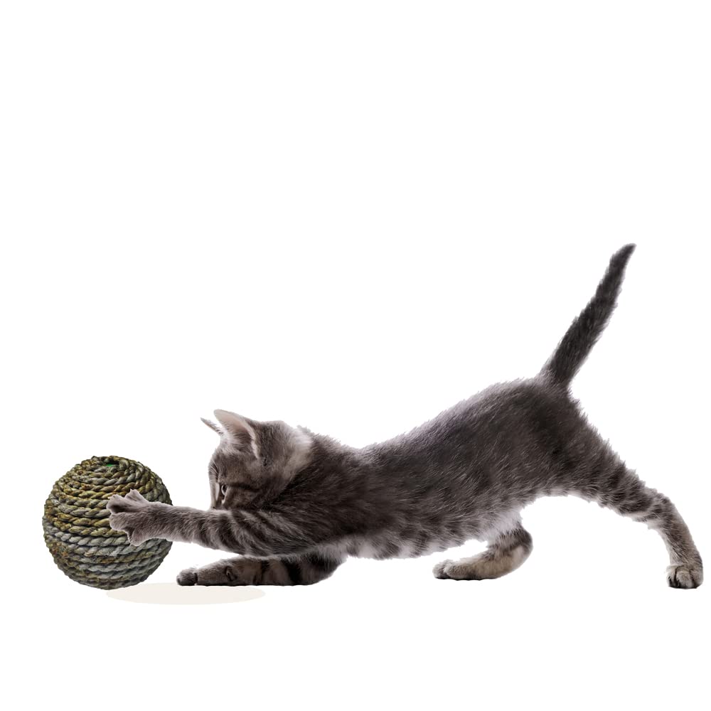 MATS AVENUE DOOR MATS AT YOUR DOOR STEP Hand Made Jute Crafted Interactive Scratcher/Play Ball For Cat And Kittens Brown Color (B09VFRWCZT) Amazon Price History, Amazon Price Tracker