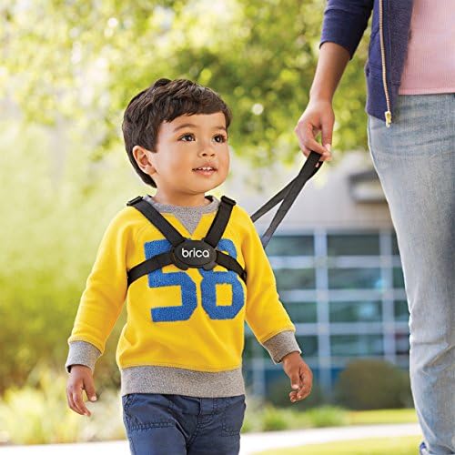Brica By Munchkin Stay Close Harness and Reins
