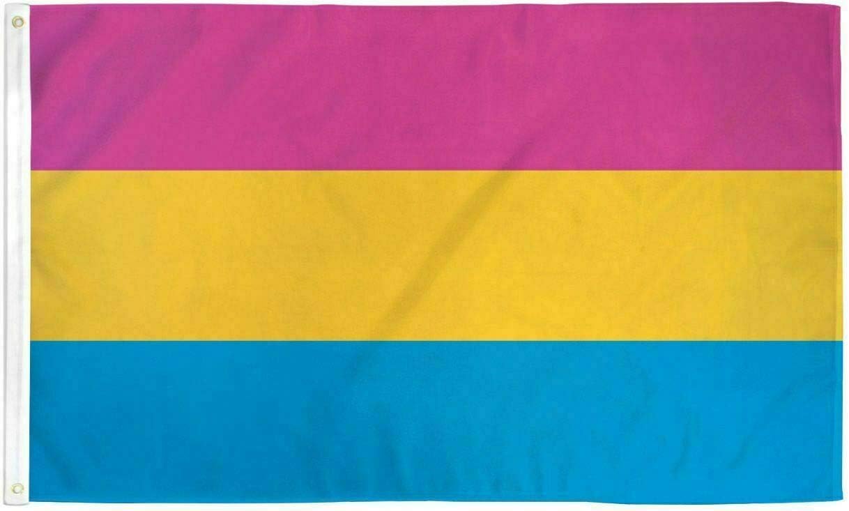 Trade Winds 4x6 Pansexual Rainbow Pride Flag with Grommets LGBTQIA Pride Pan Pride Large Premium Fade Resistant