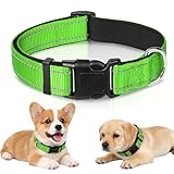 seresto hundehalsband