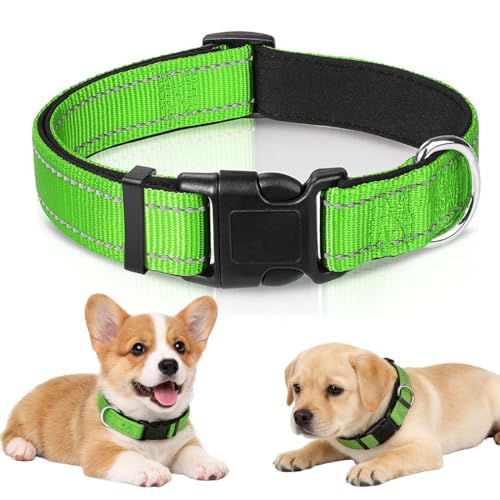 Androxeda 1 Stück, Seresto Halsband Hunde Über 8 kg, Reflektierendes Hundehalsband Aus Nylon, Gepolstert Und Weich, Verstellbar Für Tägliche Spaziergänge Und Nachtaktivitäten, 35-50 cm
