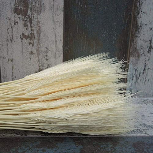 Shaperme 25Pcs Colorful Natural Dried Flowers Bouquet Wheat Plants Bunches New Year Craft Decoration Chrismas Decor Wedding #TOP1