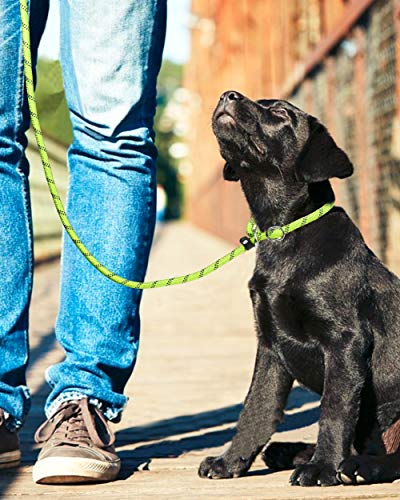 TagME Retrieverleine mit Zugstopp,Reflektierende Seilleine 185 cm Moxonleine,Weicher gepolsterter Griff,8mm für Kleine Hunde,Grün