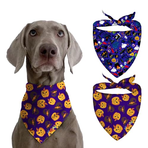 ��^���p�̌��p�l�b�N�Q�[�g���A���^����ђ��^���p�̗�p�o���_�i�A�X�J�[�t�A�N�Z�T���[�A�n���E�B�[���̉��O�����A3D�v�����g�y�b�g�X�J�[�t�M�t�g�A�p���v�L���o�b�g1��