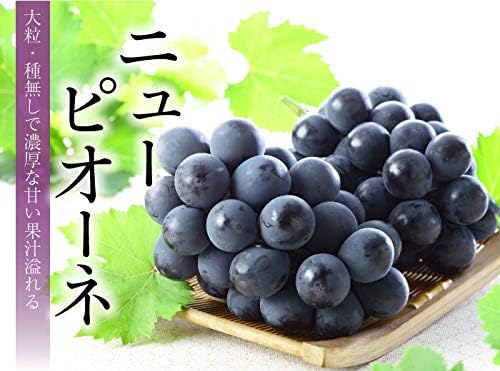 ぶどう ニューピオーネ 赤秀 400g×2房 岡山県産 ＪＡおかやま 葡萄 ブドウ