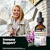 BIO KRAUTER Astragalus for Immune Support - Vegan Astragalus Root Herbal Supplements 685 mg for Daily Wellness - Liquid Extract 2 Fl.Oz., 28 Days of Supply, Alcohol & Sugar Free