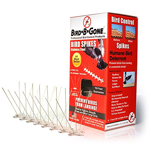 Bird B Gone Stainless Steel Bird Spikes - 6 ft Box
