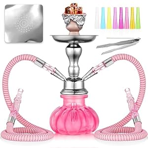 2 Hose Hookah Set 11” Small Shisha Hookah Set With Mini Pumpkin Glass Vase, Ceramic Bowl, Leather Hose, Coal Tong, Hookah Foil, Disposable Tips (Pink)