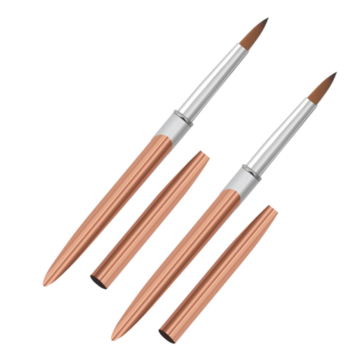 Gogogmee 2Pcs Nail Art Painting Brush Precision Detailing Brushes with Elegant Metal Handle for Intricate Designs for Beginners and Specialists Manicure and Nail Art