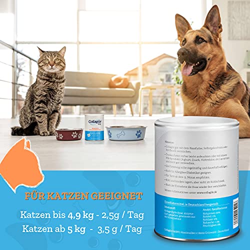 Collagile Dog Hunde Ergänzungsfutter für Knochen und Bänder Bioaktive Kollagenpeptide in Lebensmittelqualität (6 x 225g)