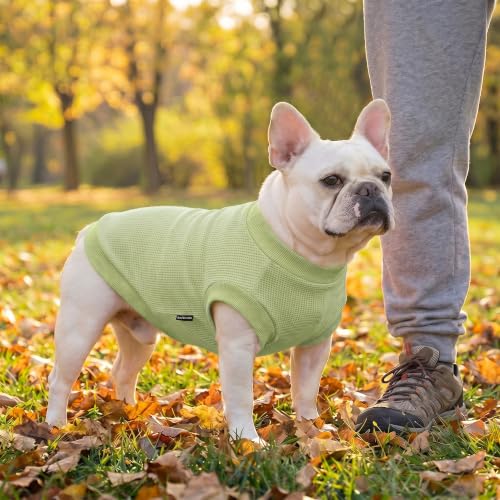 Image of 1 Pack Dog Shirt for Small Supplies Functional Waffle Dog Clothes Warm Soft Sweatshirt Outfit for Dogs Cats Pet Apparel