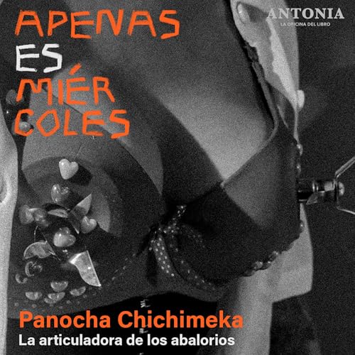 Panocha Chichimeka - La articuladora de los abalorios