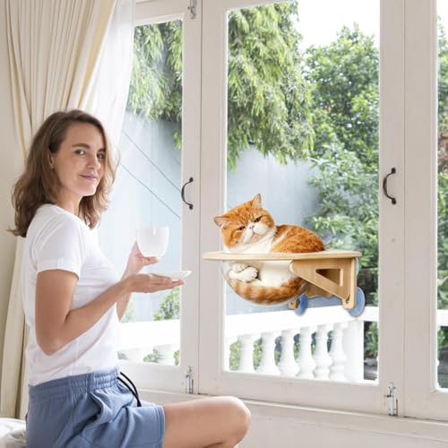 Escenario de descanso elevado y estantes modernos para gatos domésticos de interior 6
