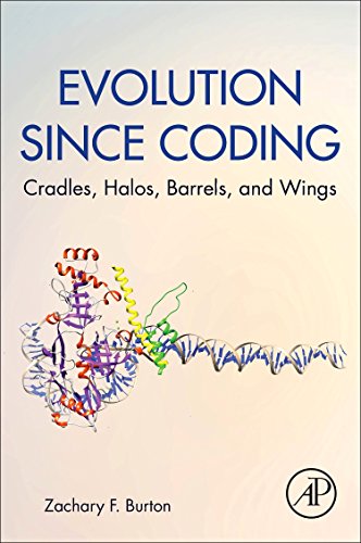 Evolution Since Coding: Cradles, Halos, Barrels, and Wings view 2