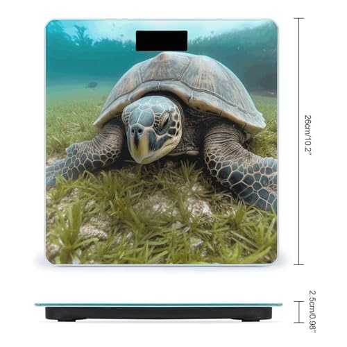 Báscula digital de baño Big Tortoise alta precisión miniatura 2