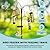 Pelle & Sol Bird Feeders Hanging Station, Bird Feeders With Feeding Trays - Bird Feeder, Bird Seed Feeders Hanging, Bird Feeding Station, Squirrel Proof, Bird Feeder Stand Outdoor Garden Decorations