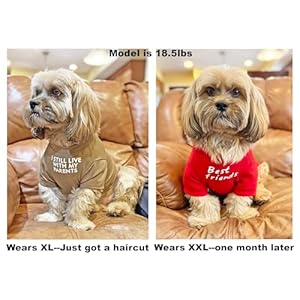 Cute dog clothesdog t shirt for medium dogsdog clothes for small dogs girl boypuppybreathable soft dog costume pet dogs catspet pullover jumpercat clothes m 711lb chest16 khaki  urban country home decor