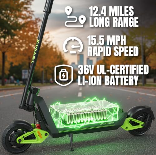 Electric Scooter with Detachable Battery