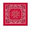 Red Paisley