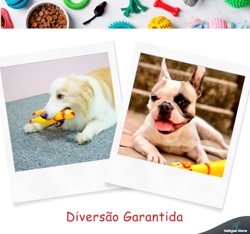 Kit com 12 Frango Galinha Galo Brinquedo Pet Cachorro Cães Gatos Borracha Mordedor com Apito Sonoro