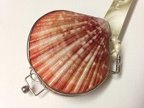 100% Natural lip balm, packed in real beach shells, CERTIFIED ORGANIC, moisturizing lip balm, great accessory, great gift, handmade in Australia, Lip Balm Sea Shell Compact, Fan Orange)