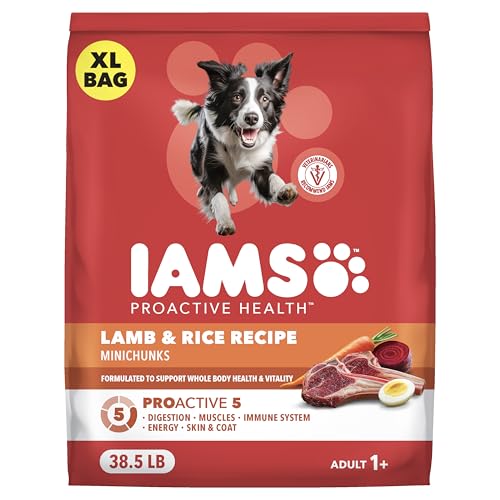 IAMS Proactive Health Adult Minichunks Dry Dog Food Lamb & Rice Recipe, 38.5 lb. Bag
