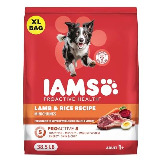 IAMS Proactive Health Adult Minichunks Dry Dog Food Lamb & Rice Recipe, 38.5 lb. Bag