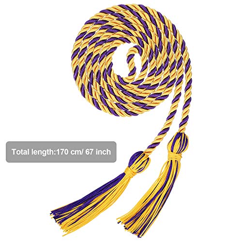 Image of TecUnite Graduation Cords Honor 2026 Polyester Yarn Decorative 67 inch Long Garland Twist Ties with Tassels for Bachelor Gown Graduation